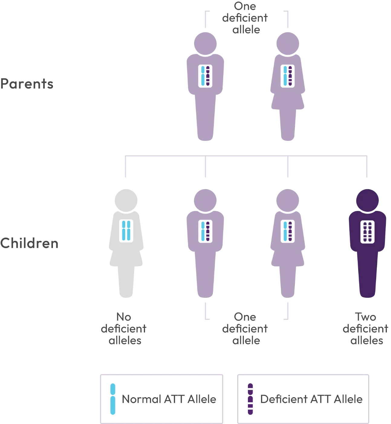 Family inheritance diagram. Two parents each carry one deficient AAT allele. Their children may inherit no deficient alleles, one deficient allele, or two deficient alleles. A key distinguishes a normal AAT allele from a deficient AAT allele.